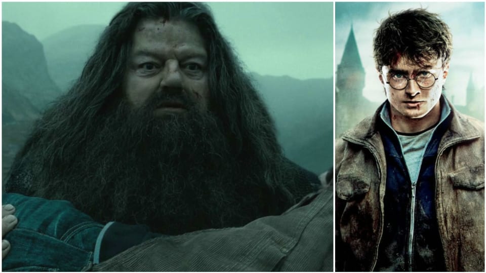 Harry Potter a Relikvie smrti - část 2